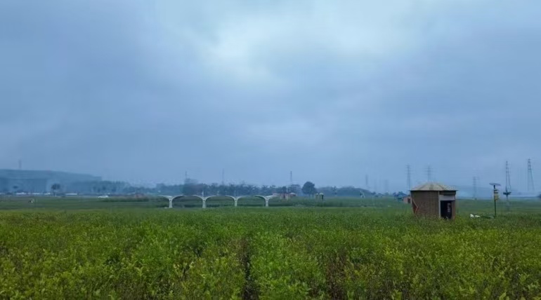 c684d266983ac602e6bc90f1397c28e1.jpg